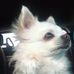 Shirley Everson - Facebook