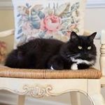 Shirley Everson - @shirley.everson - Instagram