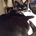 Shirley Everson - Facebook