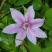 Shirley Fehr - Facebook