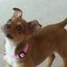 Shirley Fehr - Facebook
