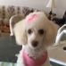 Shirley Fix - Facebook