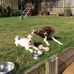 Shirley Gardner - Facebook