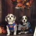 Shirley Gardner - Facebook