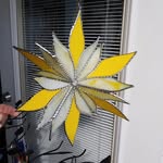 Relections In Glass - @shirleygoblehanger - Instagram
