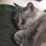 Russell Goble - @shirleyagoble - Instagram