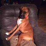 Shirley Goode - @shirley.goode.73 - Instagram