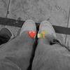 ✿shirley_poma✿ - @shirley.grass.pom - TikTok
