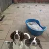 Shirley Grafton - @shirley.grafton - TikTok