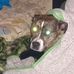 Shirley Grow - Facebook