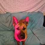 Shirley Grow - @turdballs64 - Instagram