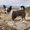 Shirley Growns - @shirley.growns - TikTok