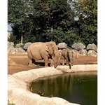 Shirley Hackett - @shirleyhackett23 - Instagram