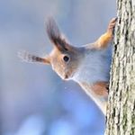 Shirley Hackworth - @shirleyhackworth - Instagram