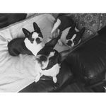 Shirley Hamel - @hamel532 - Instagram