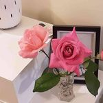 Shirley Hancock - @pands06 - Instagram
