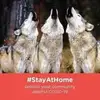 Shirley Hancock - @shirley.hancock8 - TikTok