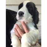 Shirley Hanson - @shirleyhanson_boss - Instagram