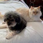 Shirley Hanson - @shirleyhanson9222 - Instagram