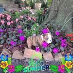 Shirley Harding - @shirley.harding3 - Instagram
