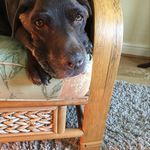 Shirley Harding - @trendy_nanny - Instagram