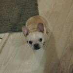 Shirley Harding - @xaladafadadahaeada1063 - Instagram