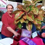 Shirley Haslam - @haslamshirley - Instagram