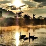 Shirley Hedges - @hedges.shirley - Instagram