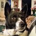 Shirley Hedges - Facebook