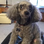 Shirley Frodge High - @shirley_high - Instagram