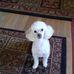 Shirley Highsmith - Facebook