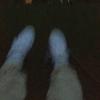shi - @shirley.hoff - TikTok