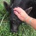 Shirley Holsinger - Facebook