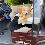 Shirley Holt - @shirleyholt3161 - Instagram