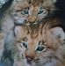 Shirley Honaker - Facebook