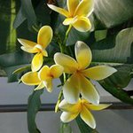 Shirley Hull - @shirley.hull1 - Instagram