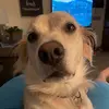 Shirley Hull - @shirley.hull0 - TikTok