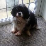 Shirley Hyde - @shirley.hyde.790 - Instagram