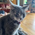Shirley Seddon Iverson - @shirleyiverson - Instagram