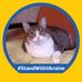 Shirley Ives - Facebook