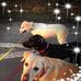 Shirley Jacques - Facebook