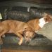 Shirley Jaques - Facebook