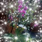 Shirley Johnstone - @shirley.johnstone.16 - Instagram