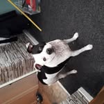 Shirley Johnstone - @shirley.johnstone.370 - Instagram