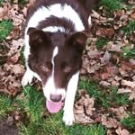 Shirley Joyce - @shirl.j67 - Instagram
