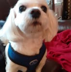 Shirley Kepler - Facebook