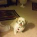 Shirley Kern - Facebook
