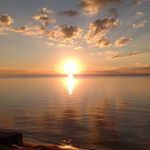 Shirley Kern - @lovesartparisnaturemusic - Instagram