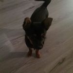 Shirley Kernohan Allen - @shirleykernohan - Instagram