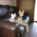 Shirley Kitchens - Facebook
